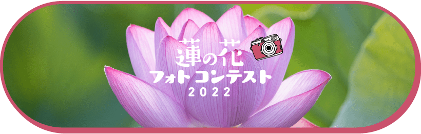 蓮の花フォトコンテスト2022